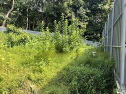 Greenbank Park (D21), Semi-Detached #466854881